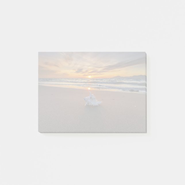 Shell At The Beach At Sunset | Kos Island Post-it Notes (Front)