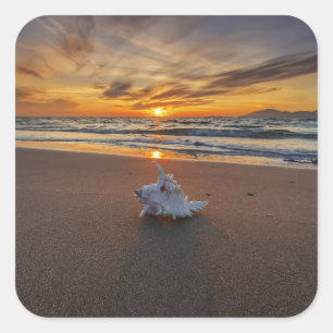 Shell At The Beach At Sunset Kos Island Square Sticker