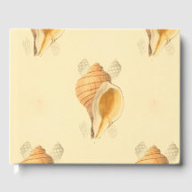 shell beach art design bright sun