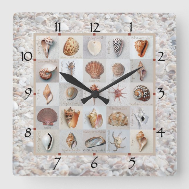 Shell Beach Clock (Front)