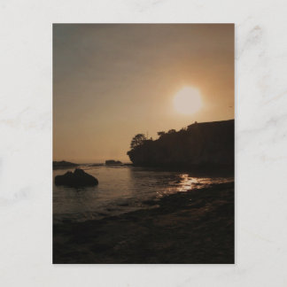 Shell Beach III Postcard