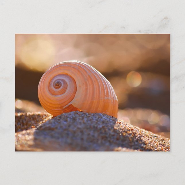 Shell Bokeh |Greece Postcard (Front)