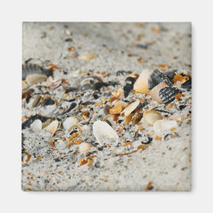 Shell cache magnet