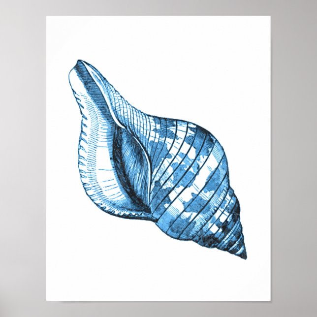 Shell coastal nautical ocean beach sea blue poster (Front)