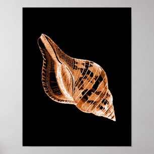 Shell coastal nautical watercolor black poster