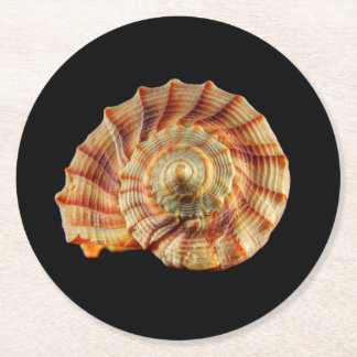 Shell coaster