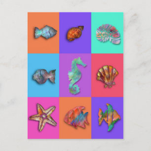 Shell Collection Postcard