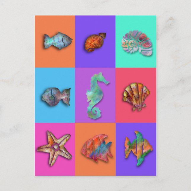 Shell Collection Postcard (Front)