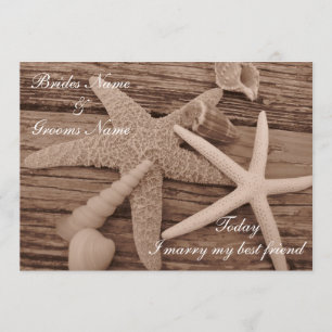 Shell Collection Wedding Invitation