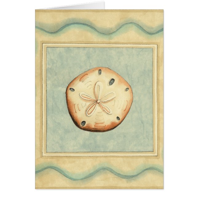 Shell Collector (Front)