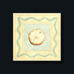 Shell Collector Canvas Print<br><div class="desc">Megan Meagher is known for her simple art pieces. This image captures the simplicity of the seashore's treasures,  of a simple seashell in a nautical bordered frame. Meagher encompasses a teal background in her image to contrast these treasures. Get this fine art print today on your Zazzle product today.</div>