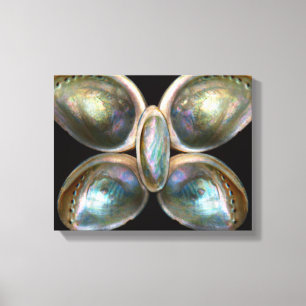 Shell - Conchology - Devine Pearlescence Canvas Print