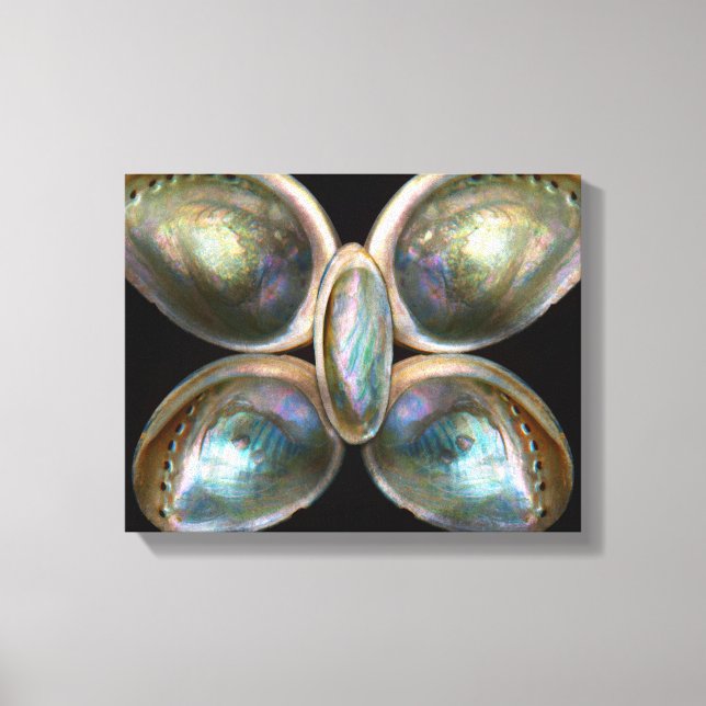 Shell - Conchology - Devine Pearlescence Canvas Print (Front)