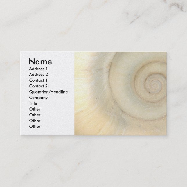 Shell - Conchology - White Spiral Business Card (Front)
