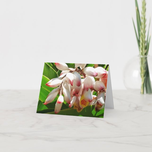 Shell Ginger Photo Folded Note Card (Front)