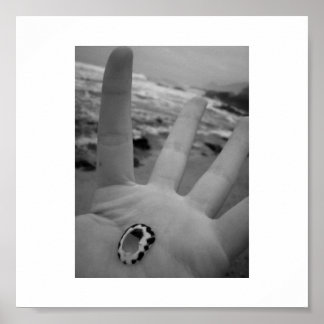 Shell in hand poster