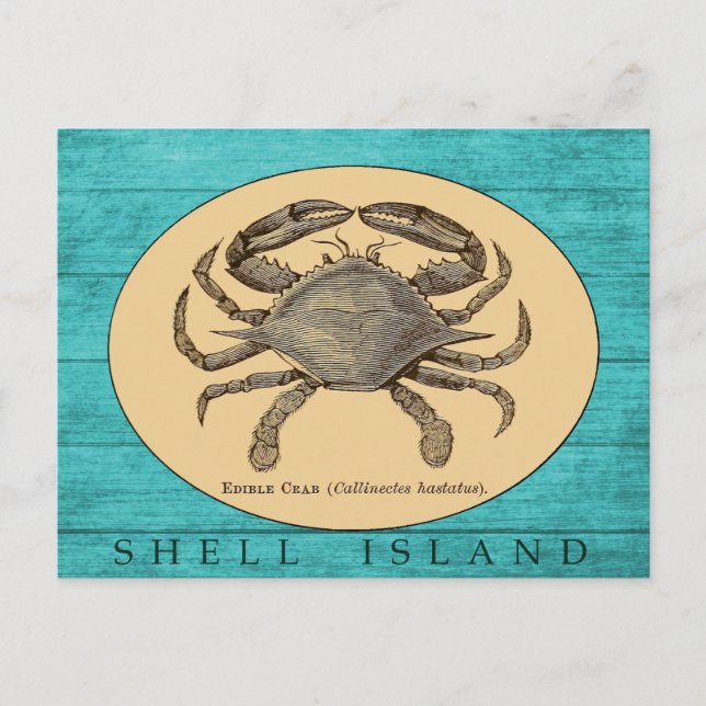 Shell Island Crab Postcard (Front)