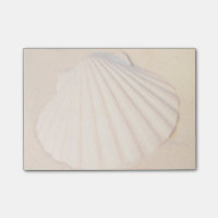 Shell Laying In Sand