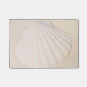 Shell Laying In Sand Post-it Notes