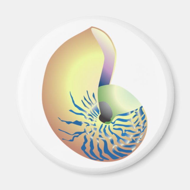 SHELL MAGNET (Front)