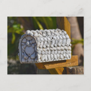 Shell Mailbox, Fort Myers Beach, Florida Postcard