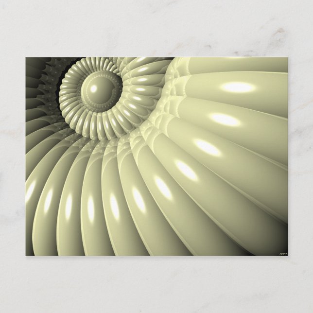 Shell of Repetition Postcard (Front)