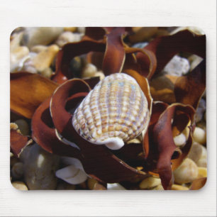 Shell On A Bed Of Seaweed Mouse Mat