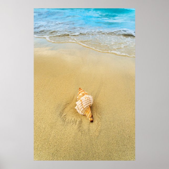 Shell On Beach | Jamaica Poster (Front)