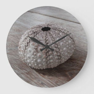 Shell On Top Of A Wooden Table Large Clock