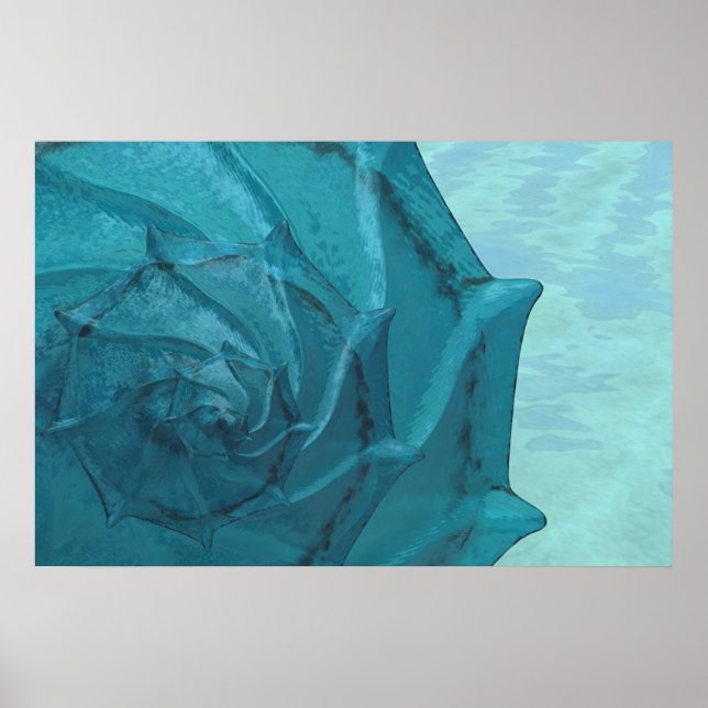 Shell Poster (Front)