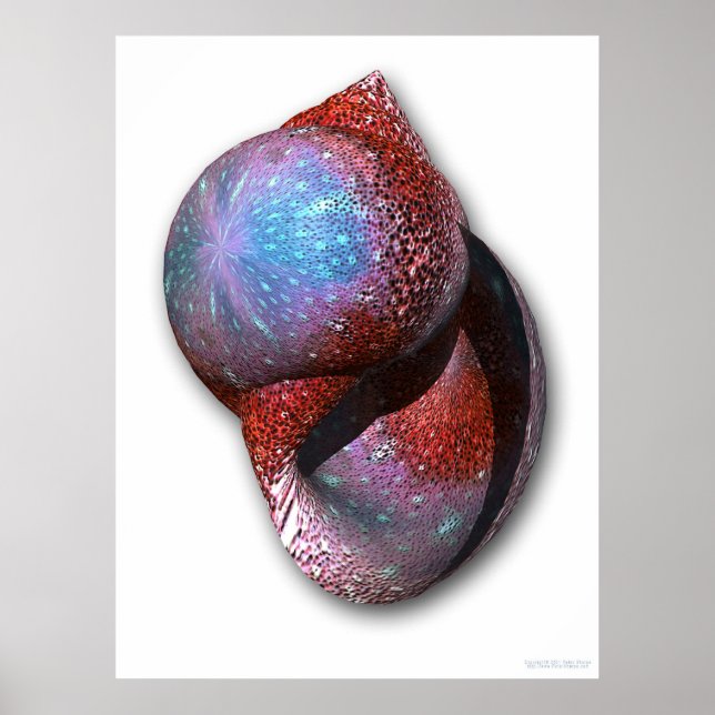 Shell Poster (Front)