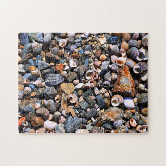 Shell Puzzle (Horizontal)