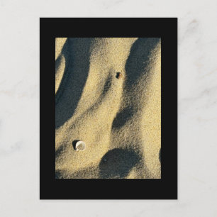 Shell Sand and Shadows Postcard