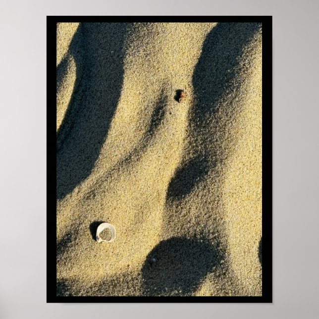 Shell Sand and Shadows Poster (Front)