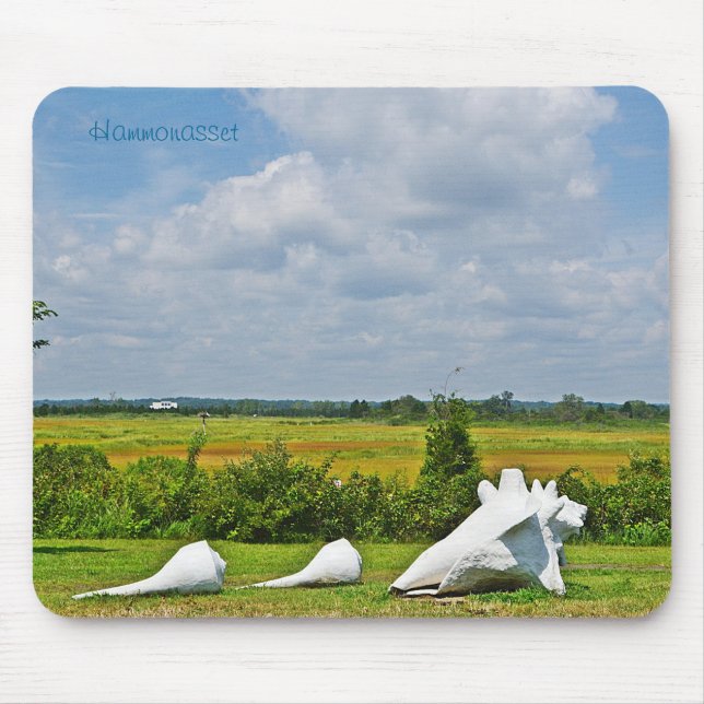 Shell Sculpture Mousepad (Front)
