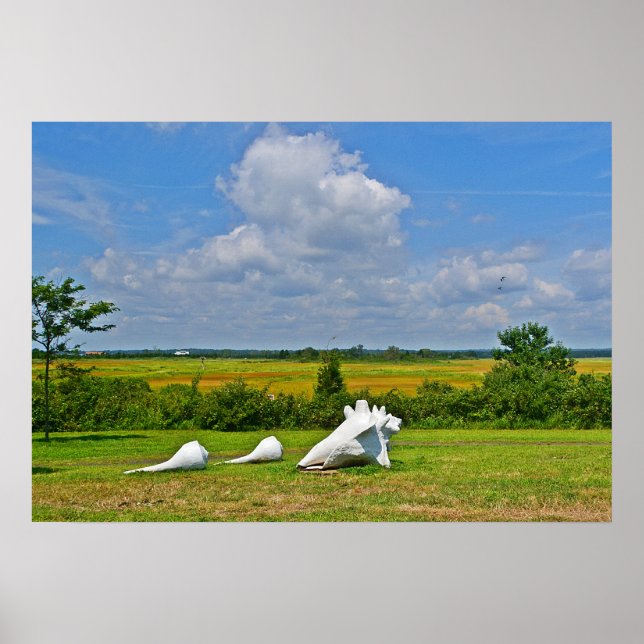 Shell Sculpture Poster (Front)