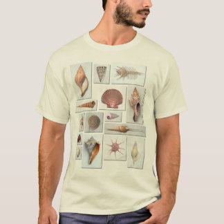 Shell Shirt