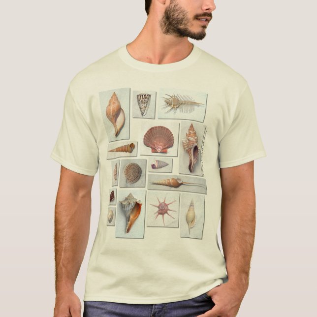 Shell Shirt (Front)