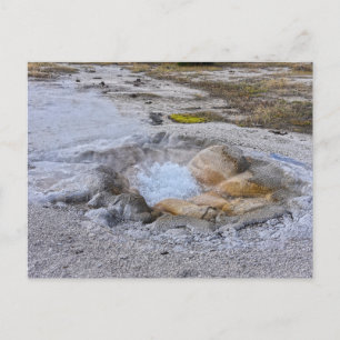 Shell Spring in Yellowstone National Park, Wyoming Postcard