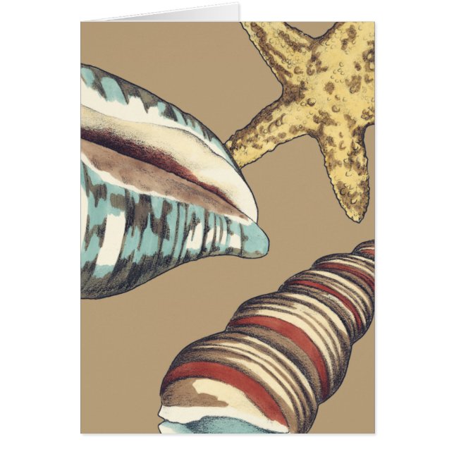 Shell Trio on Khaki (Front)