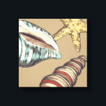 Shell Trio on Khaki Canvas Print<br><div class="desc">Megan Meagher is known for her simple art pieces. This is a great image of decorative art capturing the sea life with a yellow starfish and a blue and red conch shell. Get this fine art print today on Khaki colour on your Zazzle product.</div>