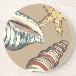 Shell Trio on Khaki Coaster