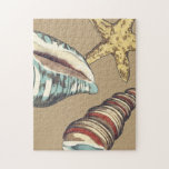 Shell Trio on Khaki Jigsaw Puzzle<br><div class="desc">Megan Meagher is known for her simple art pieces. This is a great image of decorative art capturing the sea life with a yellow starfish and a blue and red conch shell. Get this fine art print today on Khaki colour on your Zazzle product.</div>