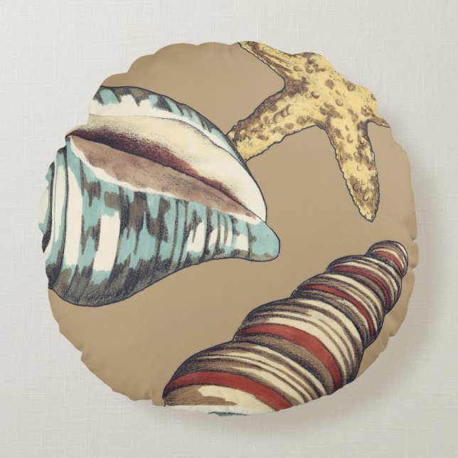 Shell Trio on Khaki Round Cushion (Front)