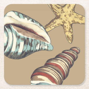 Shell Trio on Khaki Square Paper Coaster