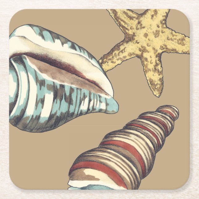 Shell Trio on Khaki Square Paper Coaster (Front)