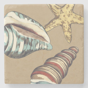 Shell Trio on Khaki Stone Coaster