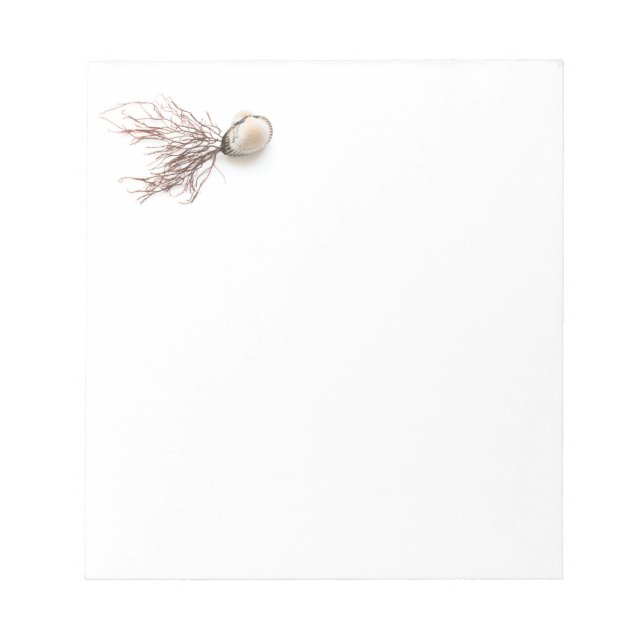 Shellfish Notepad (Front)