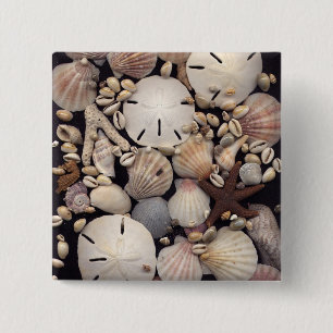 Shells 15 Cm Square Badge