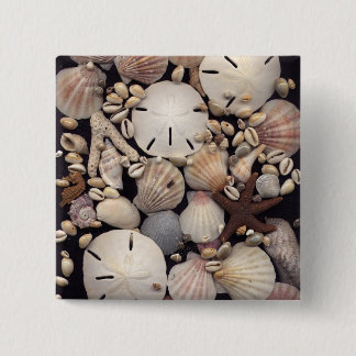 Shells 15 Cm Square Badge